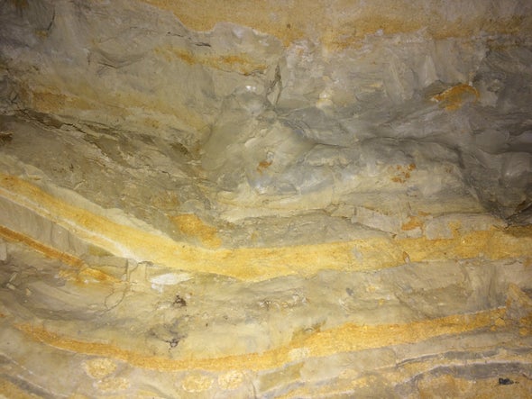 Dinosaur-Killing Meteorite Caused Acidification That Led to Mass Extinction
