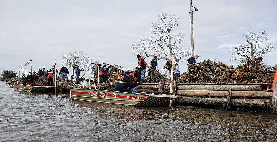 One state’s ‘magical’ tool to fight erosion: Christmas trees