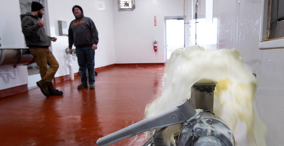 Food Dumped During Pandemic Comes with an Emissions Price Tag